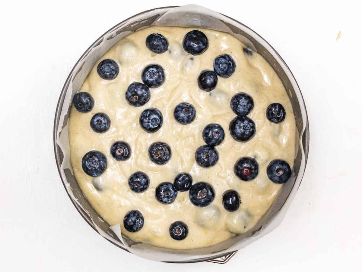 blueberry cake 12 2024 | grosskochberg